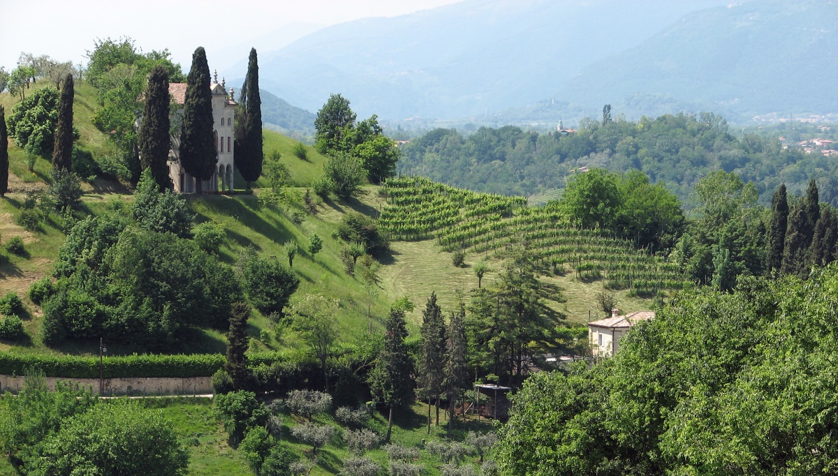 colline asolo prosecco 