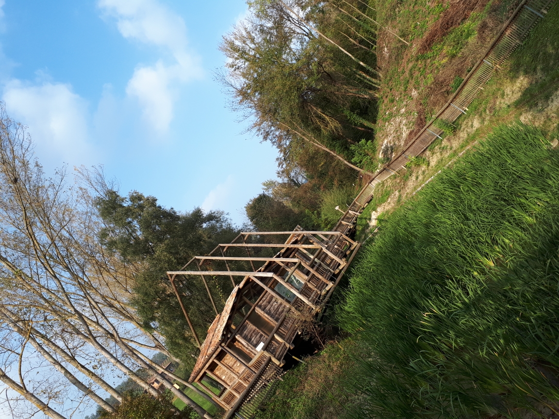 Parco Forestale l'Alberone di Cocconato