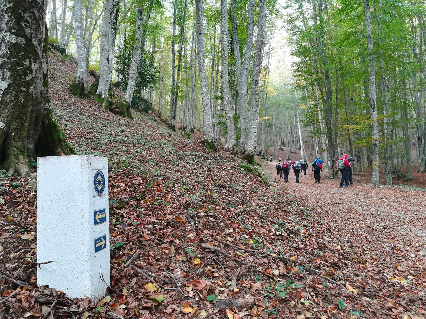 Cammino di San Francesco di Paola