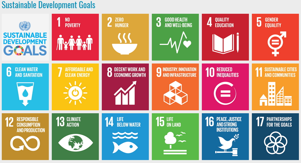 sustainable development goals