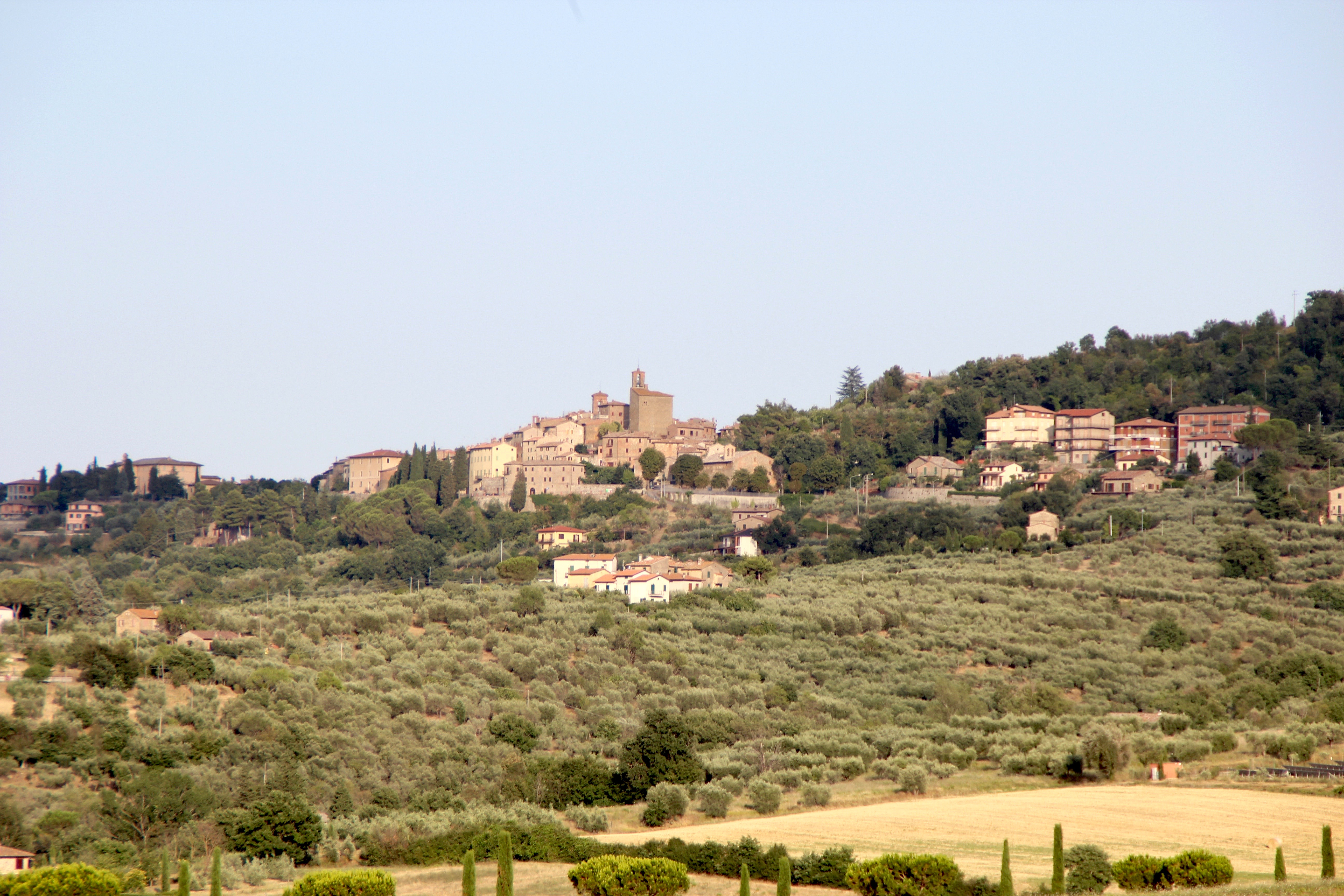 Panicale